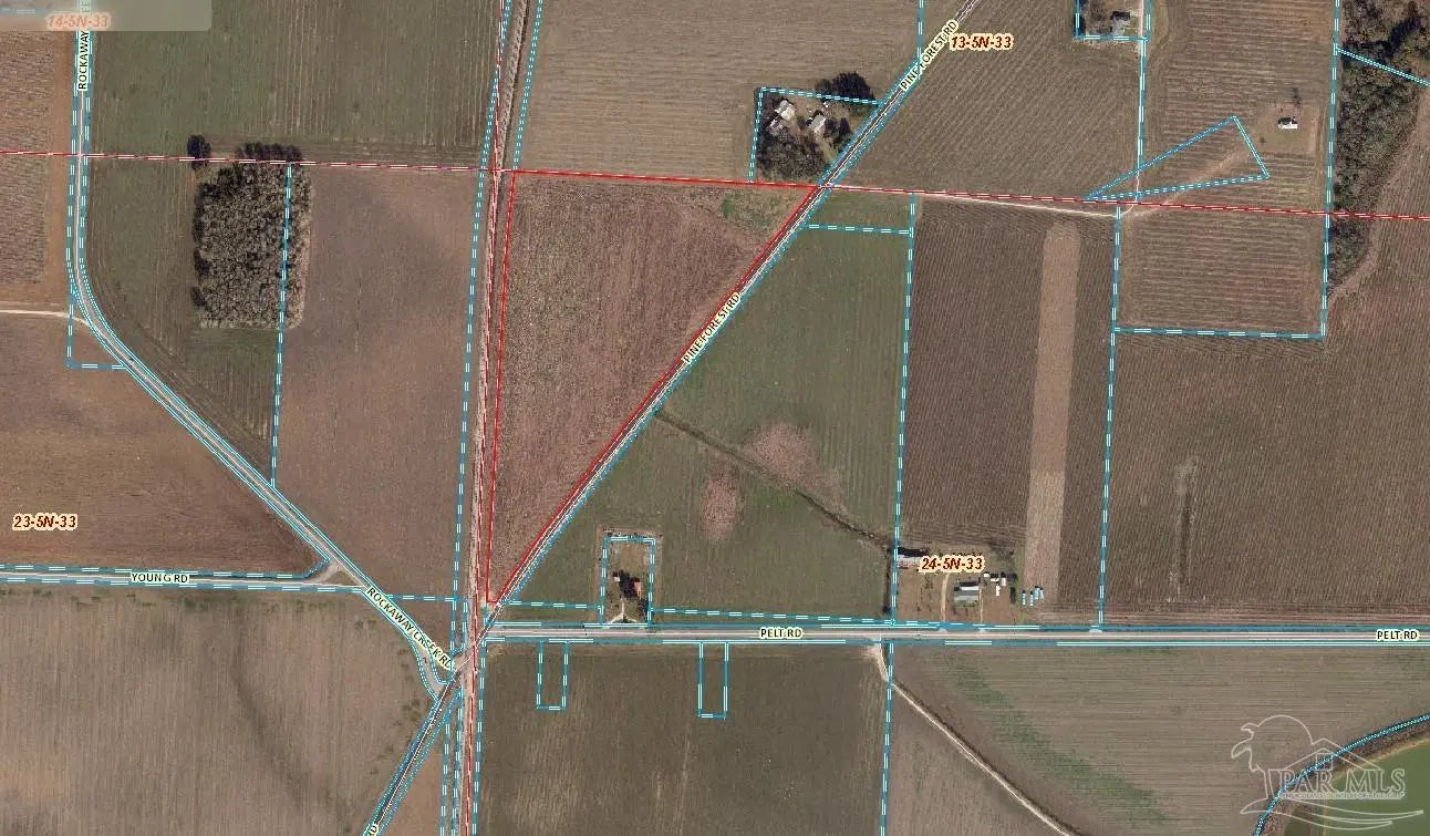 Photo of Listing #675434