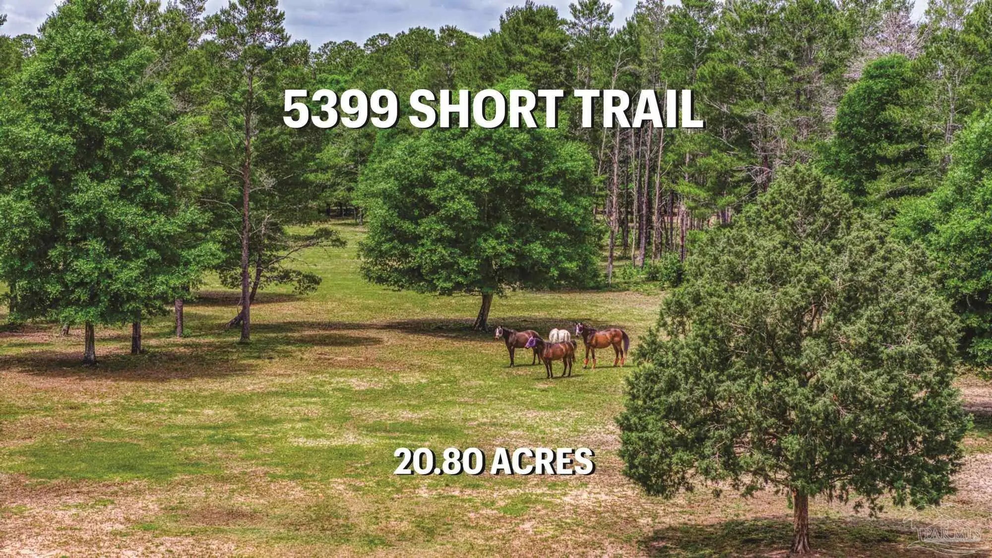 Photo of Listing #664141