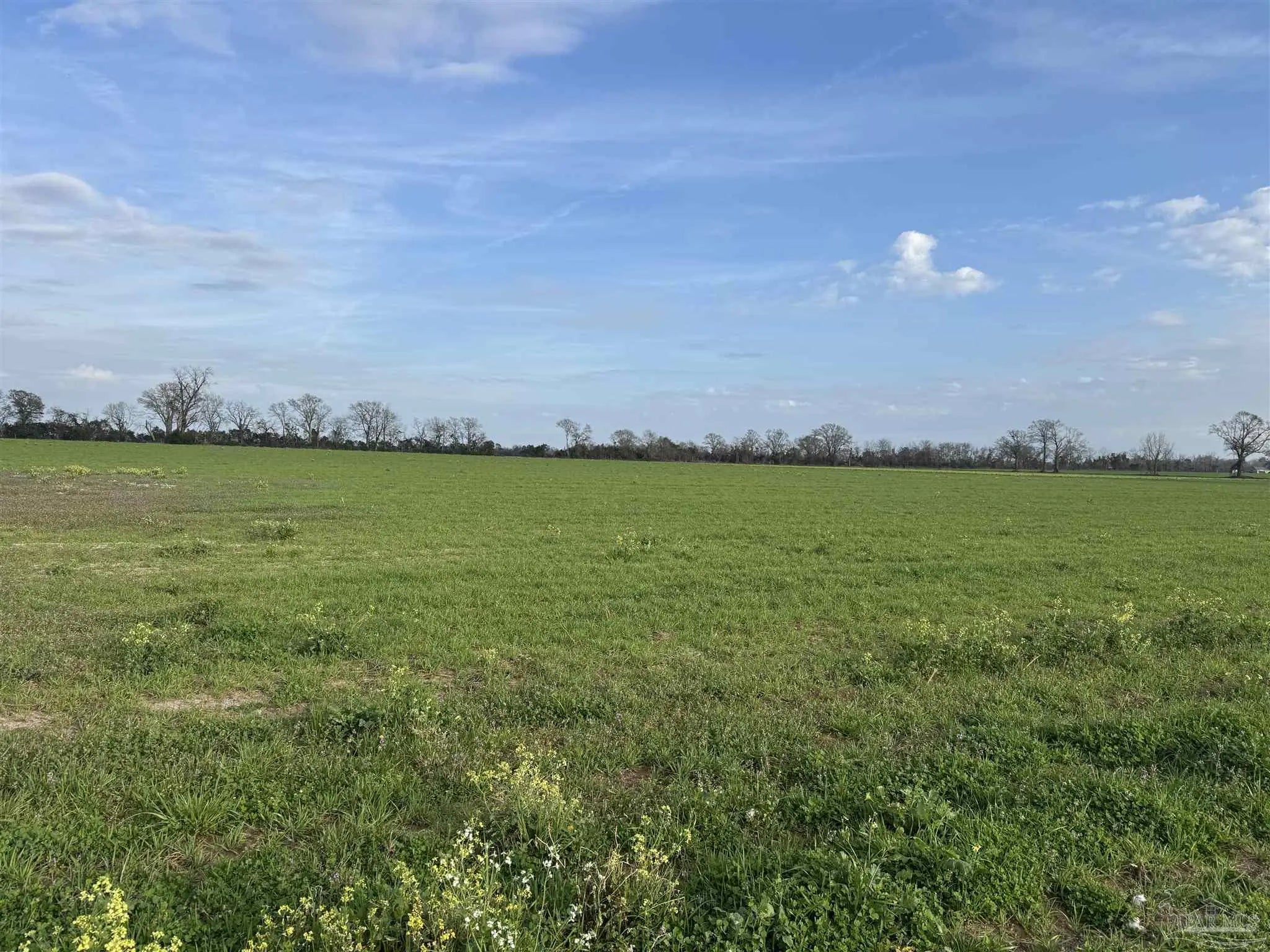 Photo of Listing #671212