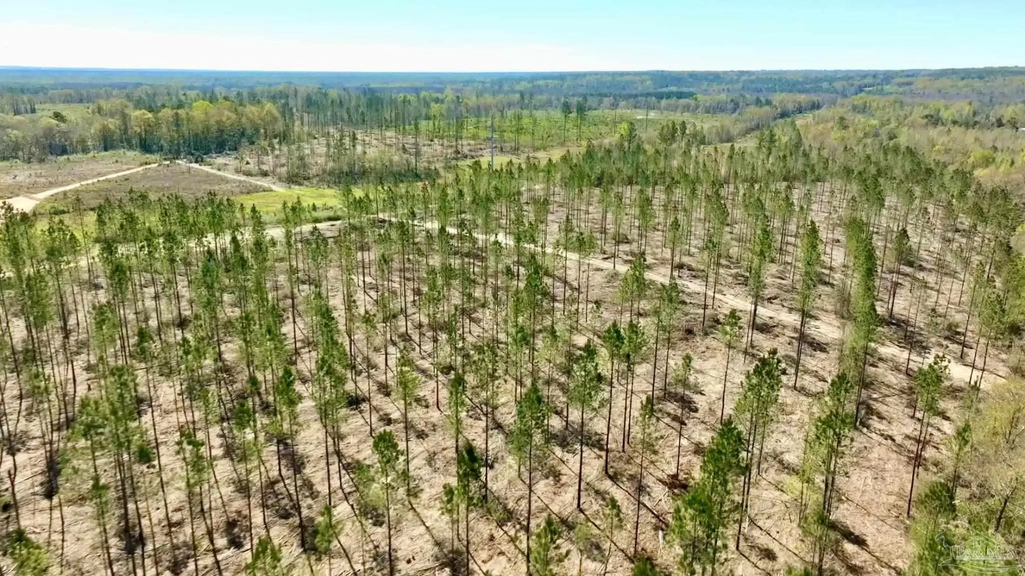 Photo of Listing #642846