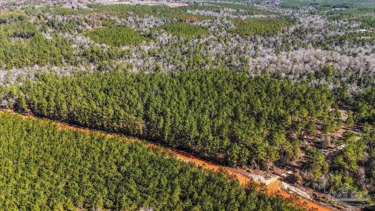 Photo of Listing #677224