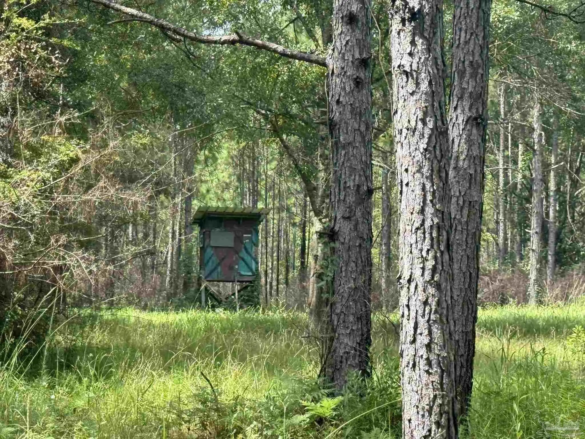 Photo of Listing #653396