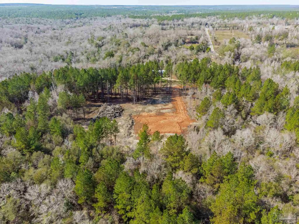 749 Cotton Lake Rd, Molino
