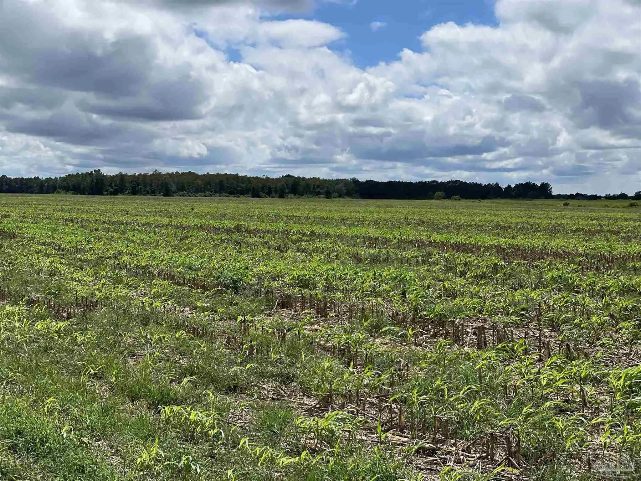 Photo of Listing #653038