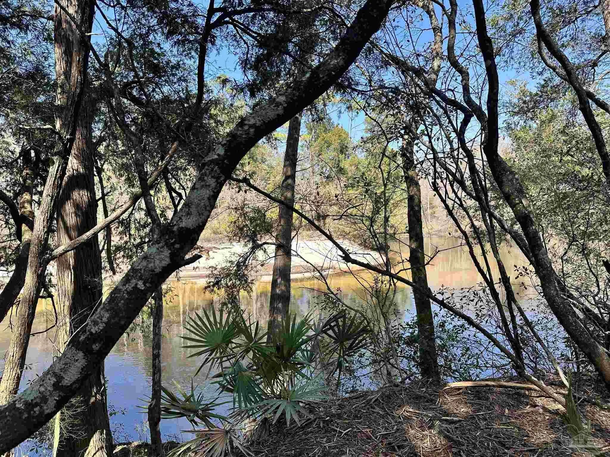 Photo of Listing #677416