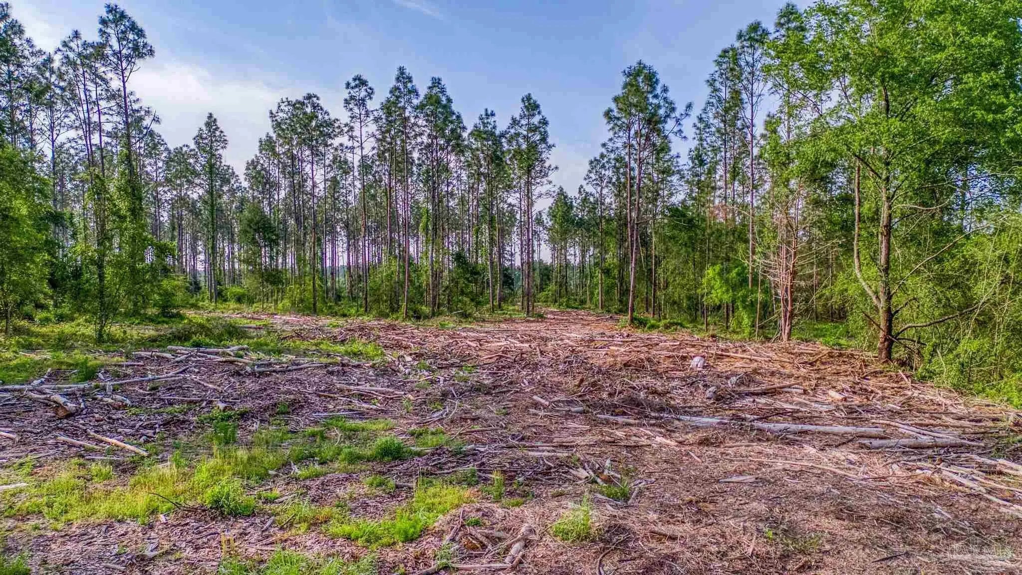 Photo of Listing #663453