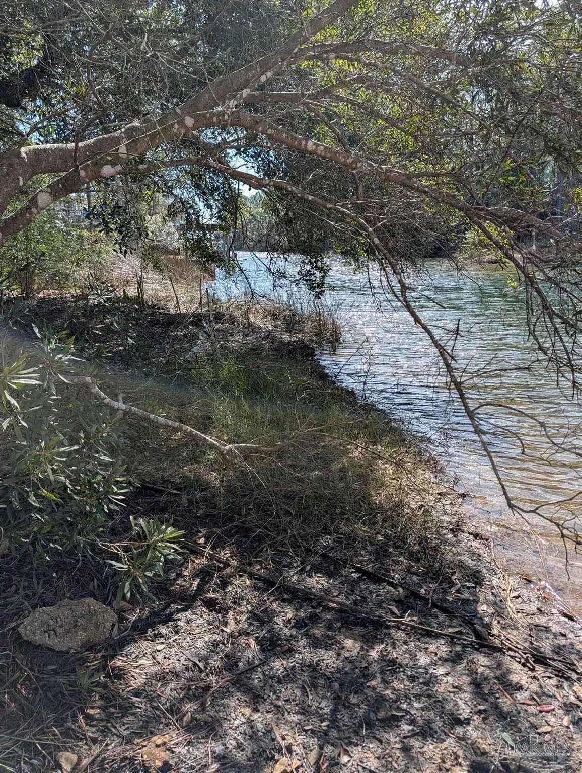 Photo of Listing #677540