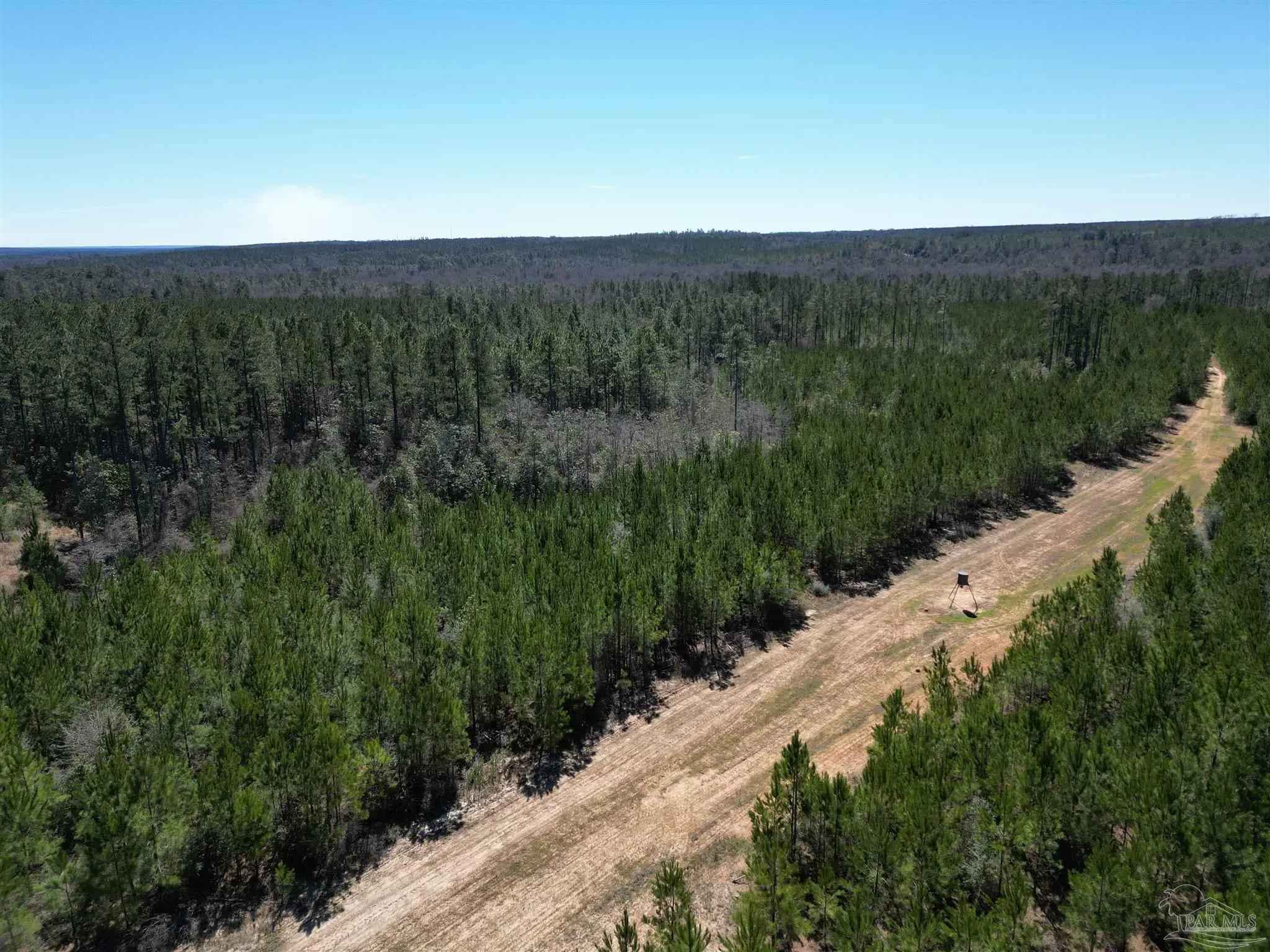 Photo of Listing #675987