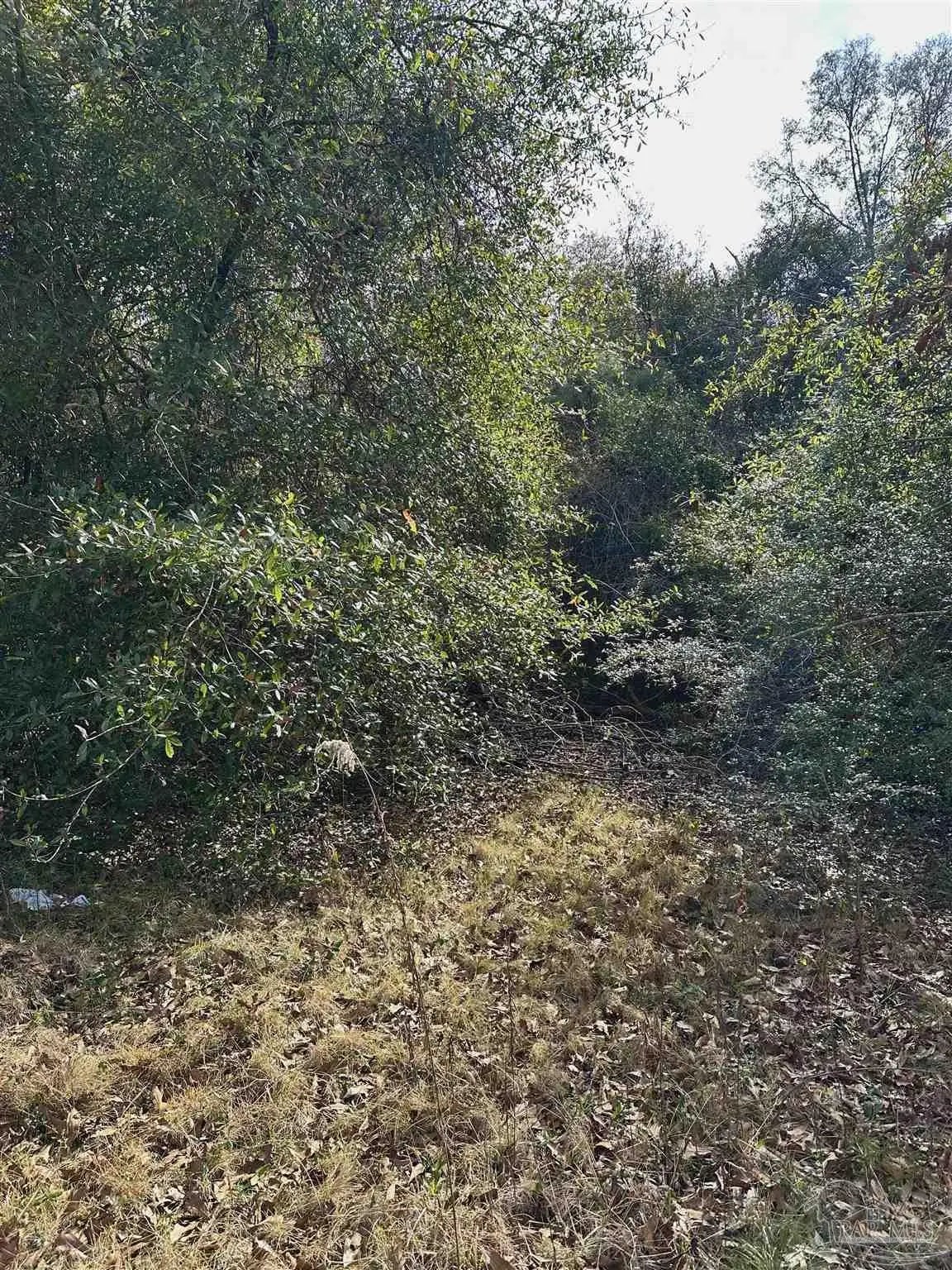 Photo of Listing #676544