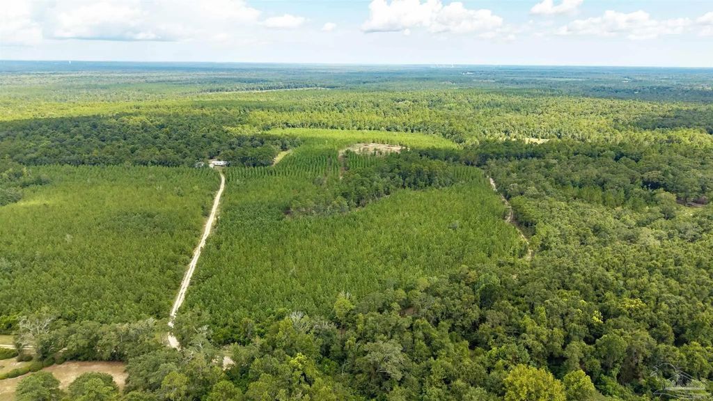 4920 Richardson Rd, Molino