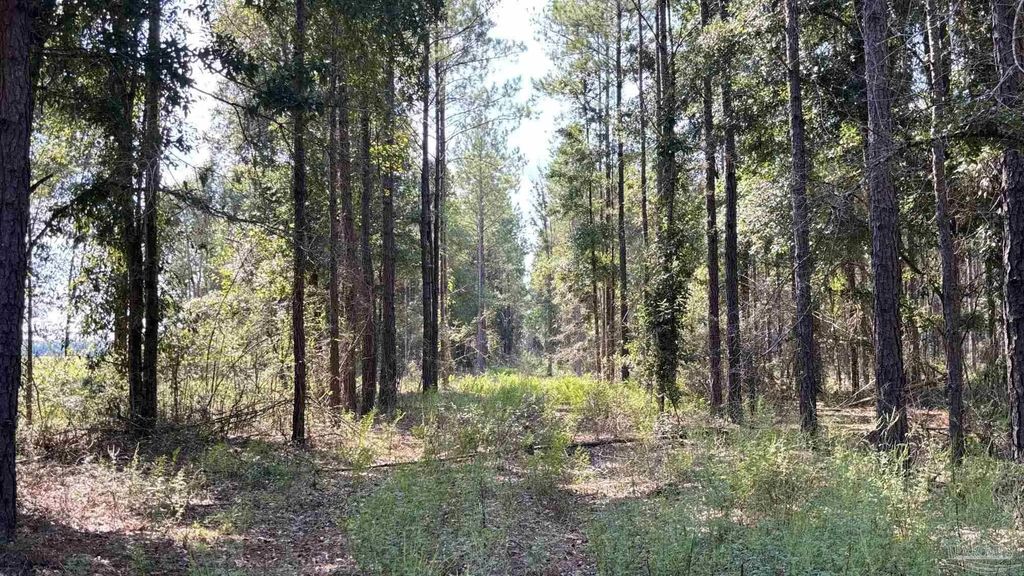 Lot 74 Posie Forest Rd, Milton