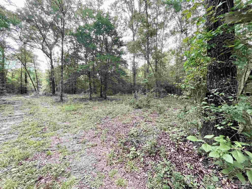 4599 Brushy Creek Rd, Range