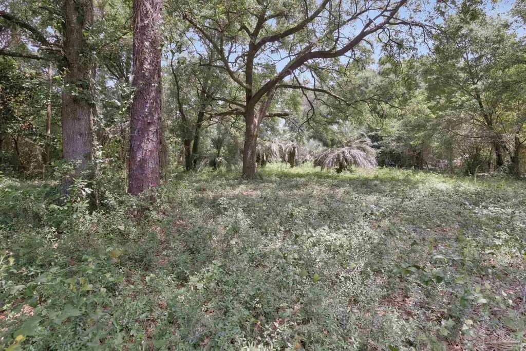 1512 E Burgess Rd, Pensacola