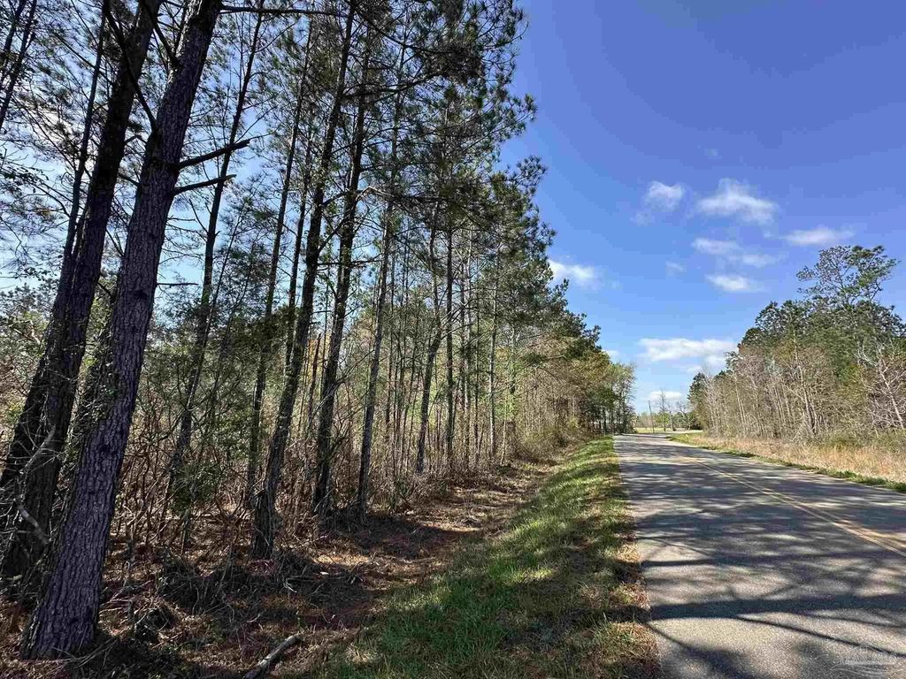 Lot A1 Snider Rd, Frisco City