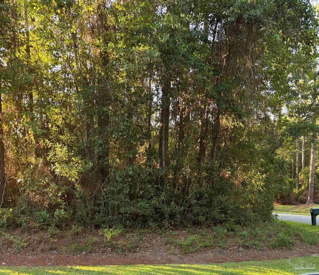 301 Deerfoot Ln, Cantonment