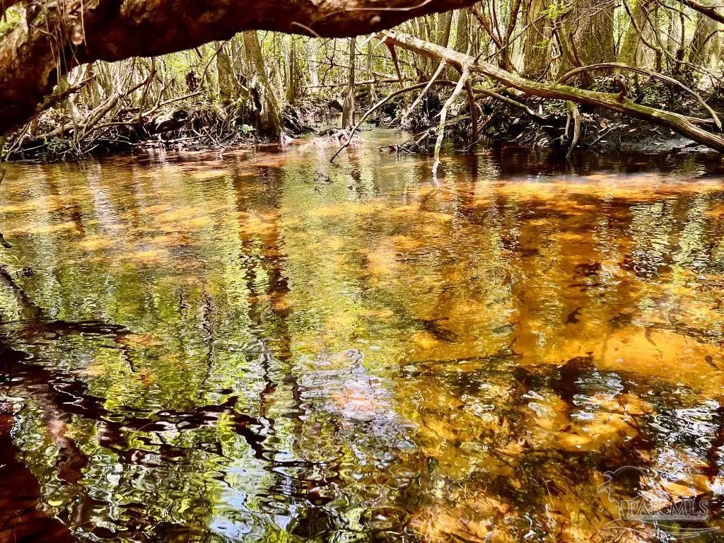 Photo of Listing #667235