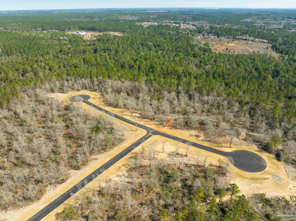 Lot 12 Brook Crossing St, Pace