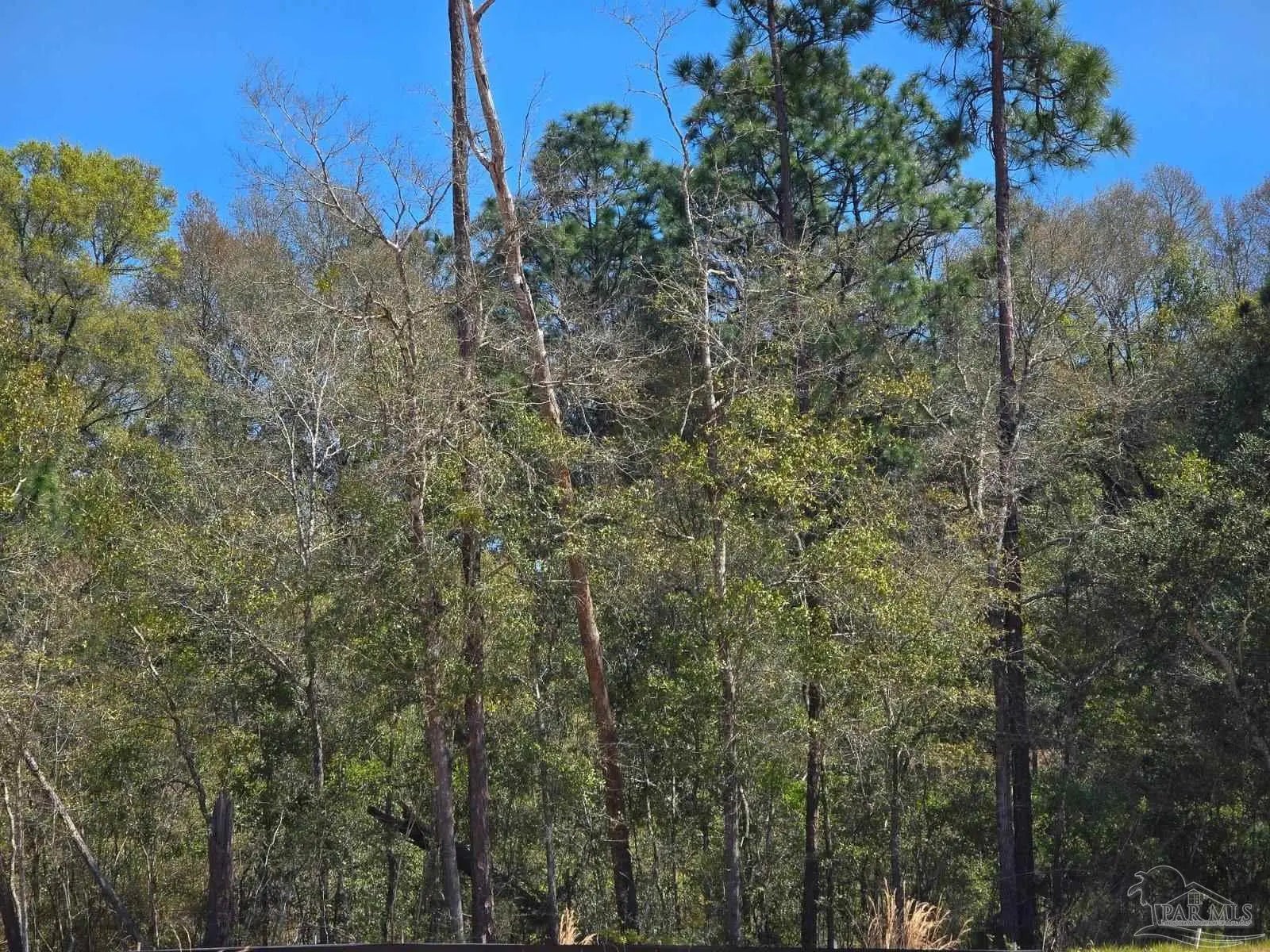 Photo of Listing #679262