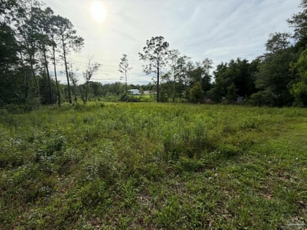 999 New Haven Dr, Cantonment