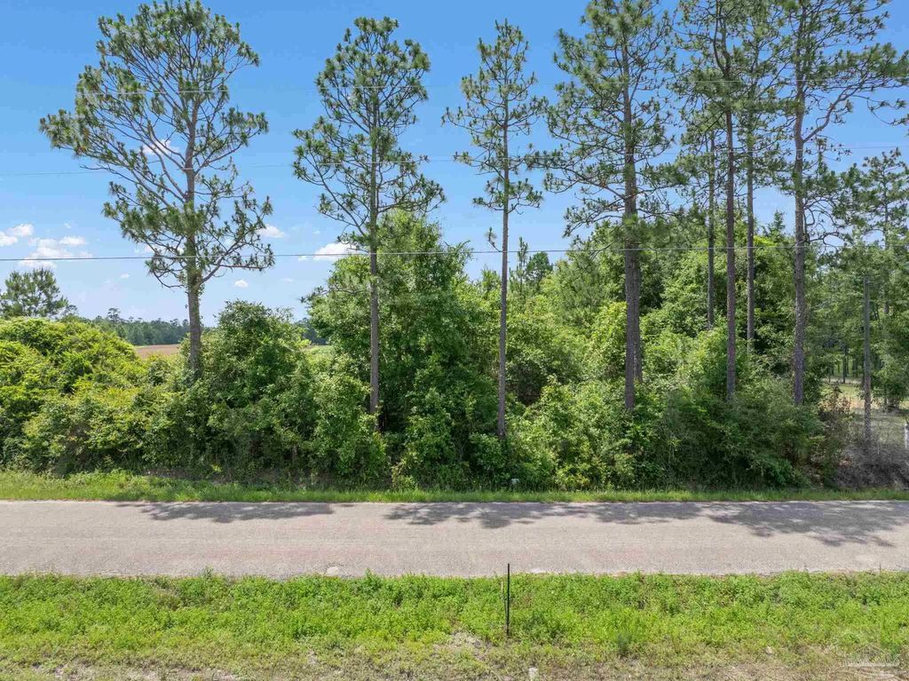 Lot 54 Mineral Springs Rd, Jay