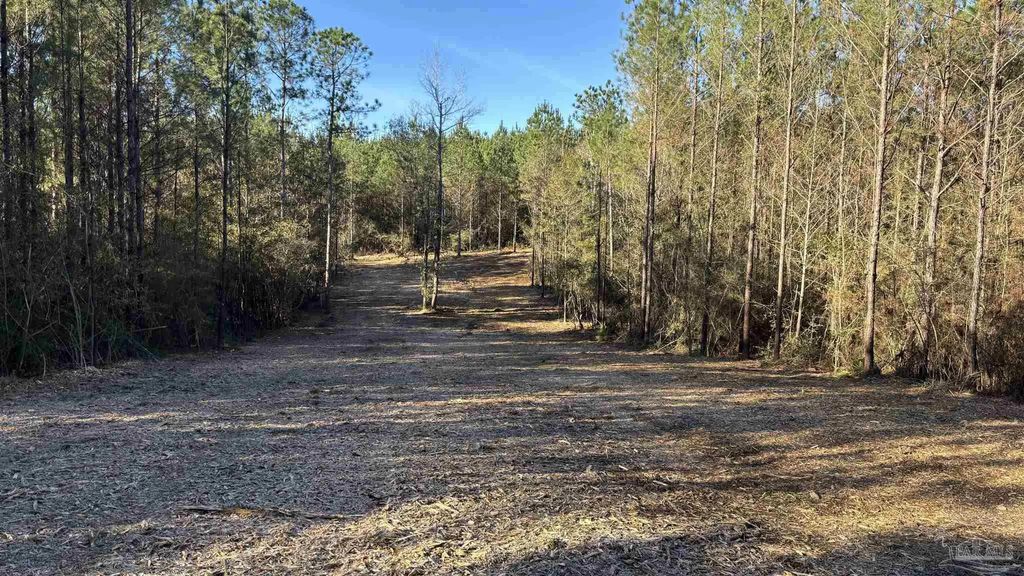 Lot 60 Straw Bridge Rd, Jay