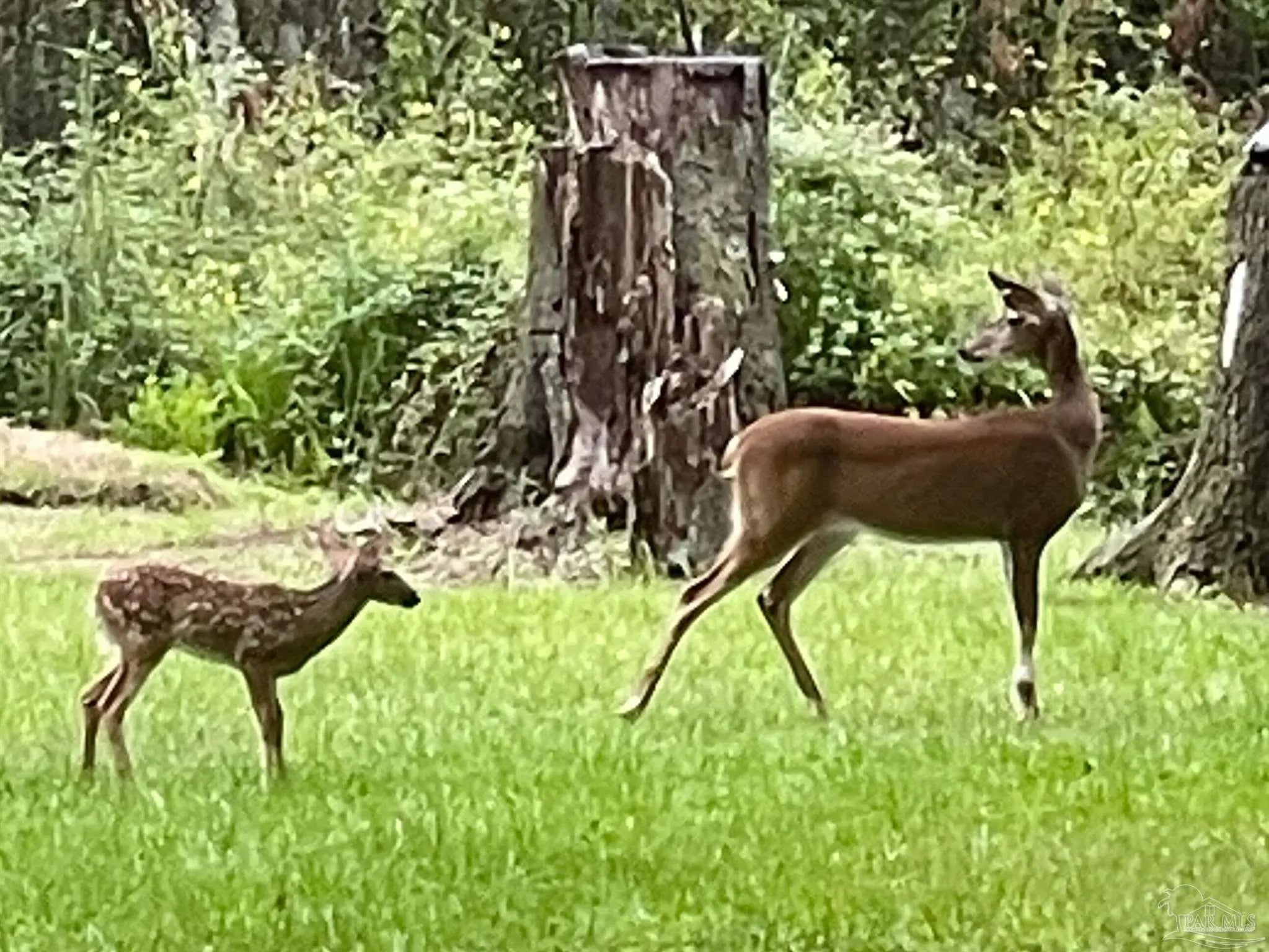 Photo of Listing #673798