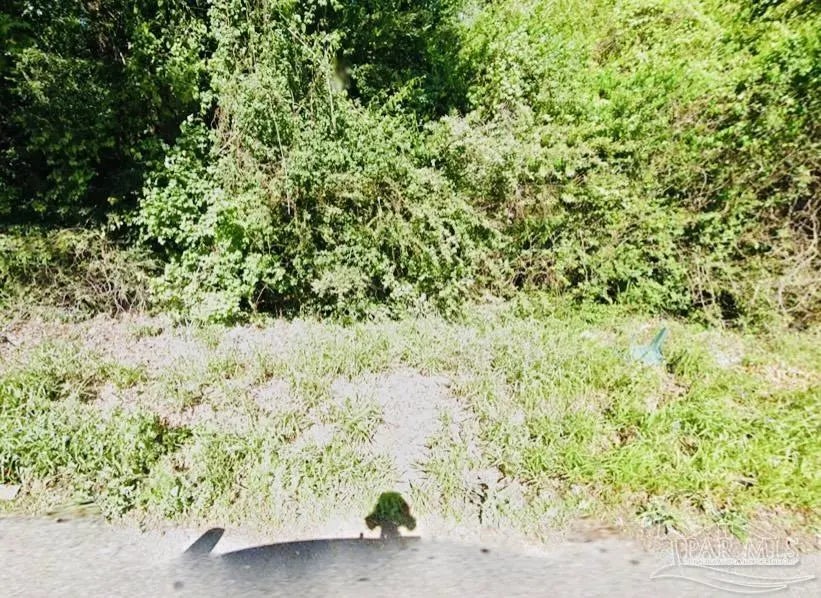 Photo of Listing #663882