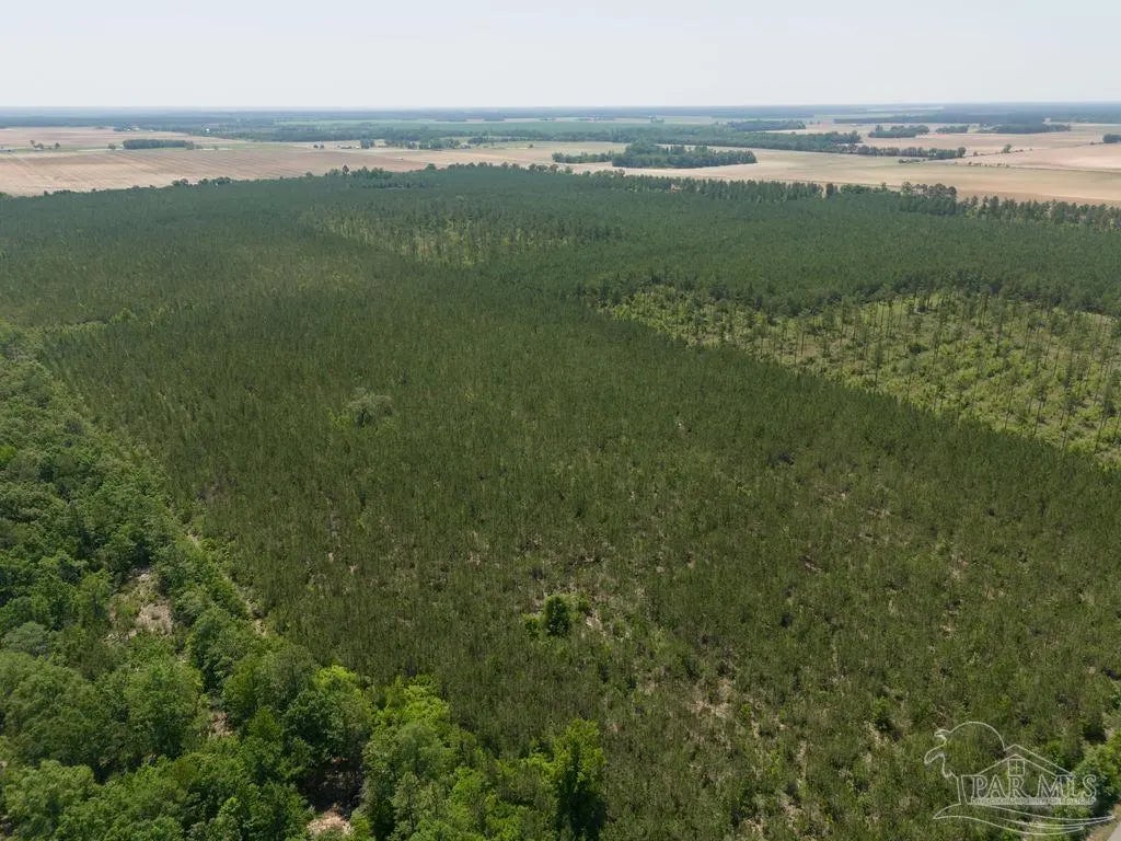 Photo of Listing #654463