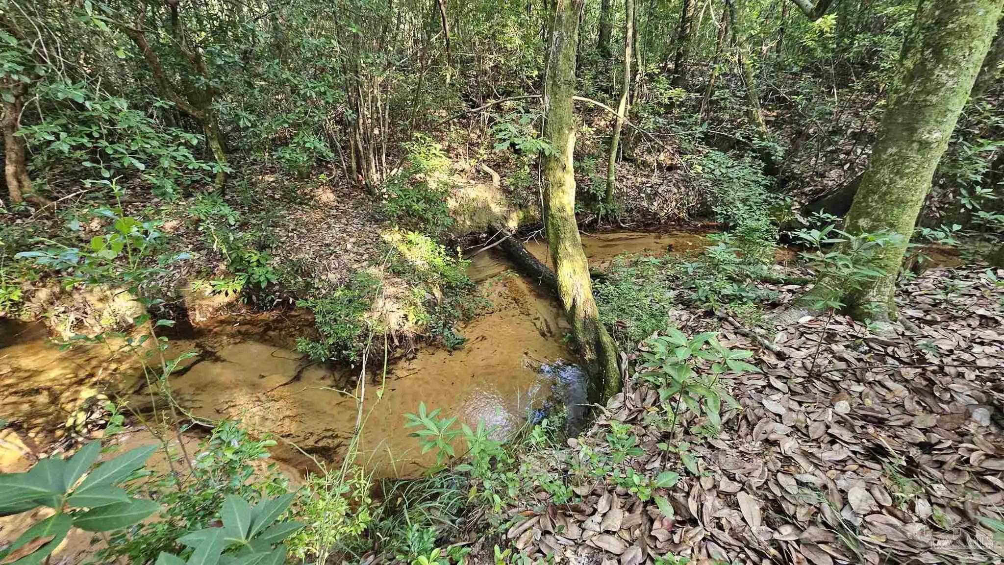 Photo of Listing #668146