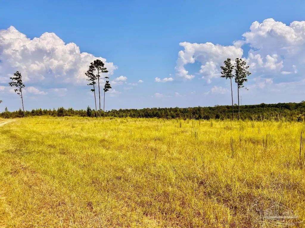 Lot 23 Morgans Branch, Molino