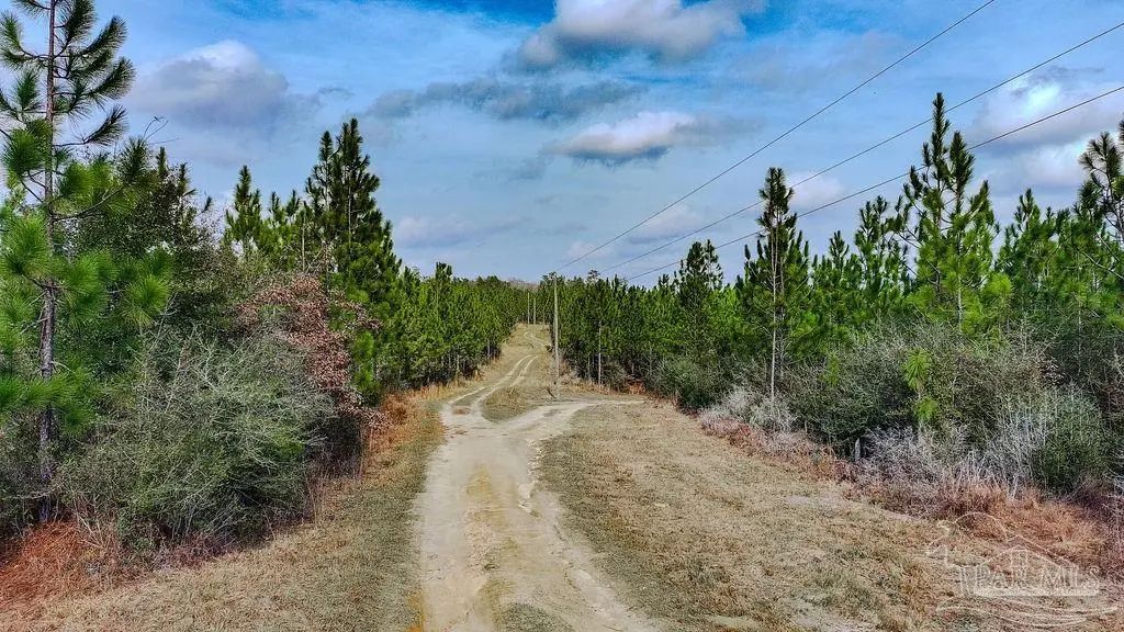 Mustard Seed Ln, Milton