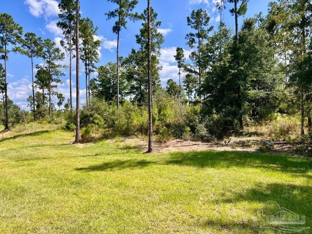 Lot 33 Morgans Branch, Molino