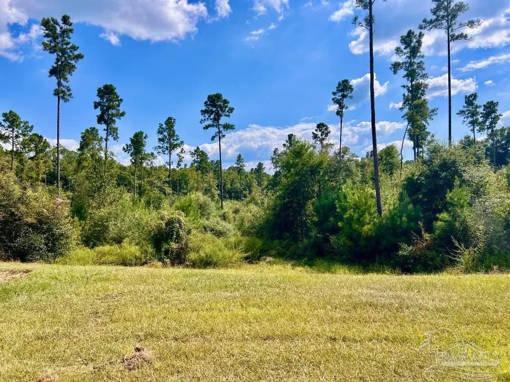 Lot 31 Morgans Branch, Molino