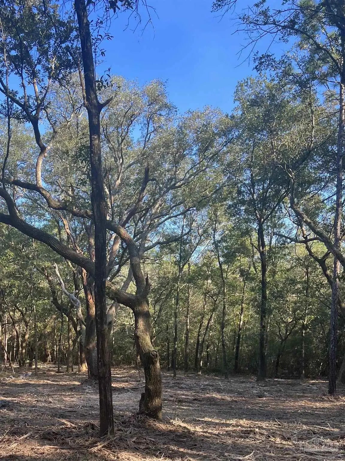 Photo of Listing #676009