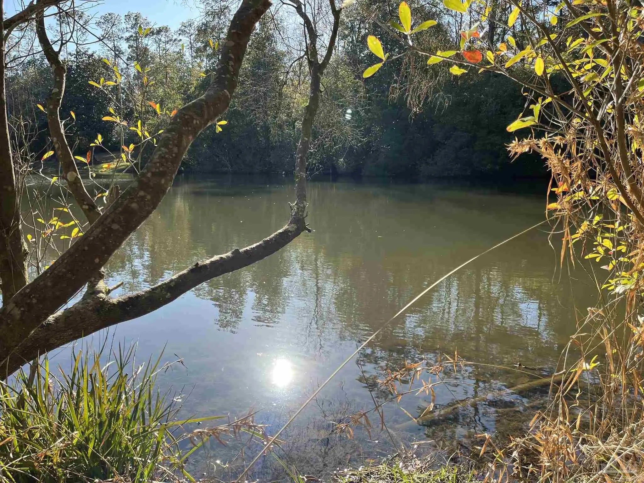 Photo of Listing #658135