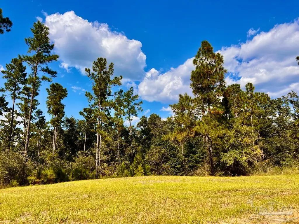 Lot 4 Morgans Branch, Molino