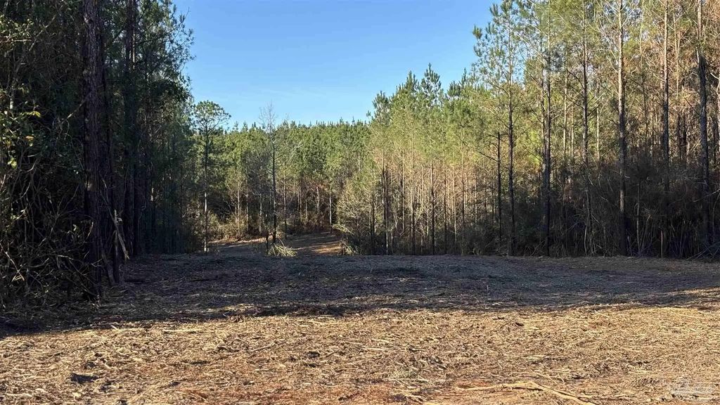 Lot 58 Straw Bridge Rd, Jay