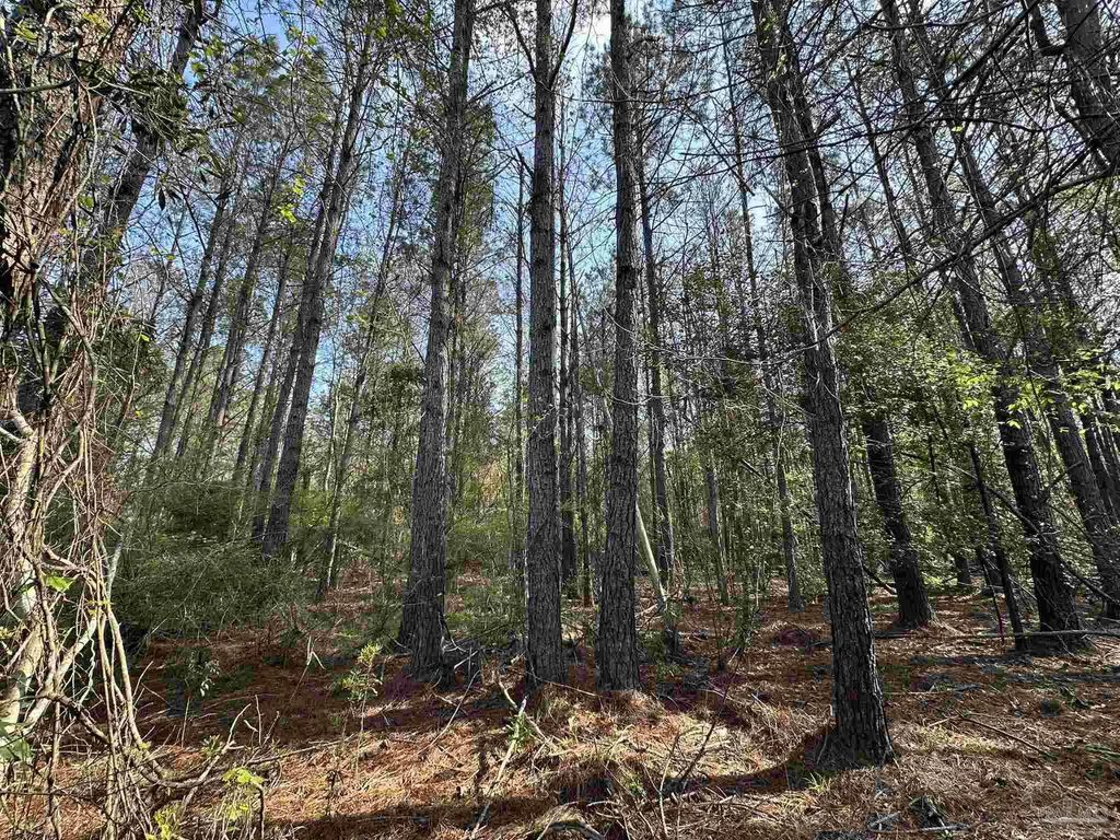 1.1 Ac Snider Rd, Frisco City