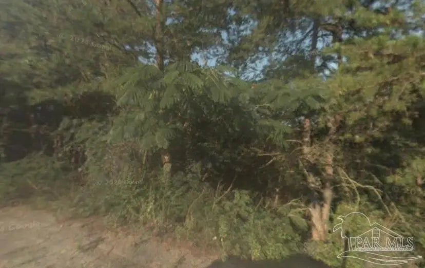 Photo of Listing #663954