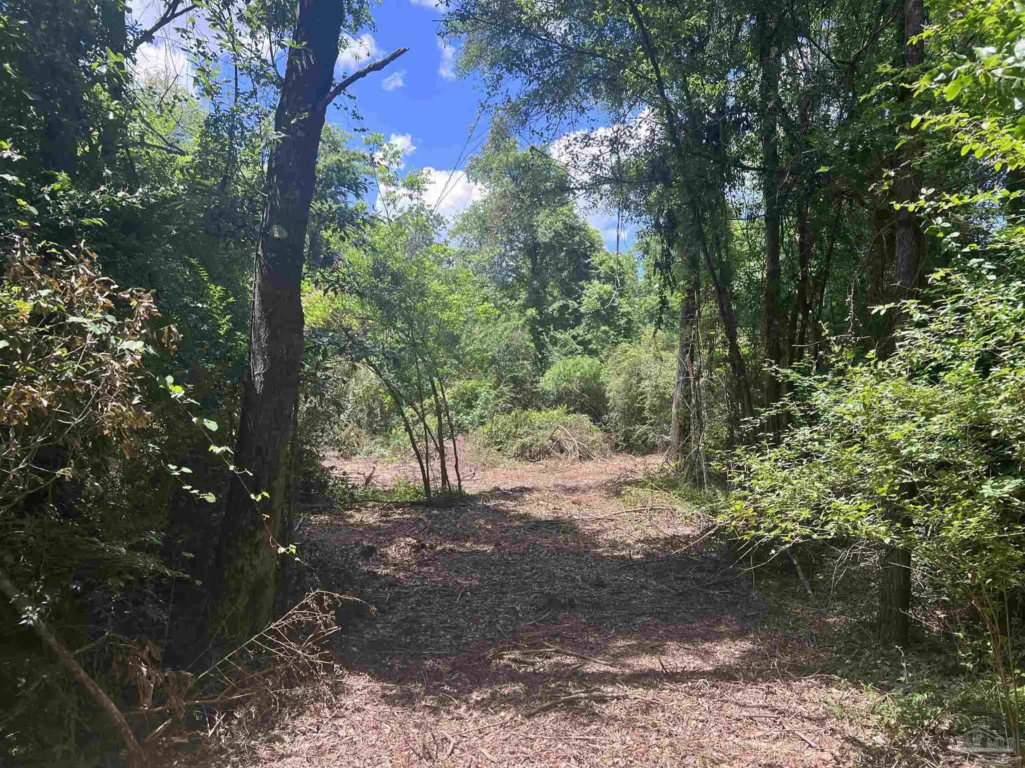 Photo of Listing #644842