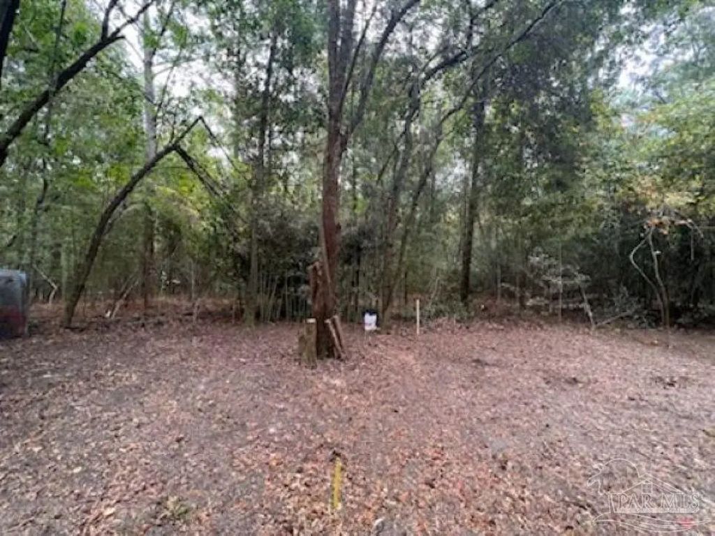 1329 Beaver Dam Ln, Bonifay
