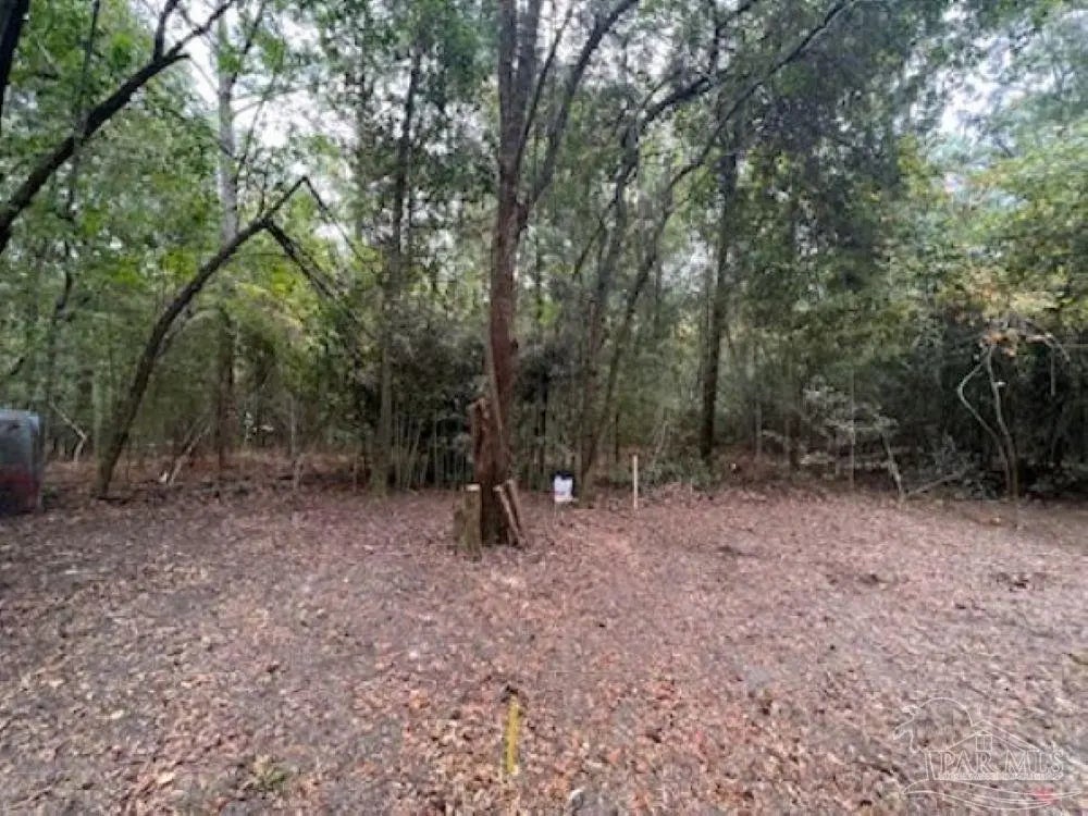 Photo of Listing #674177