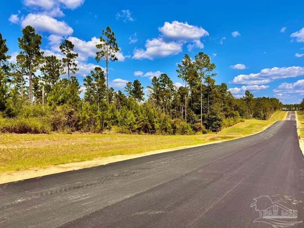 Lot 3 Morgans Branch, Molino