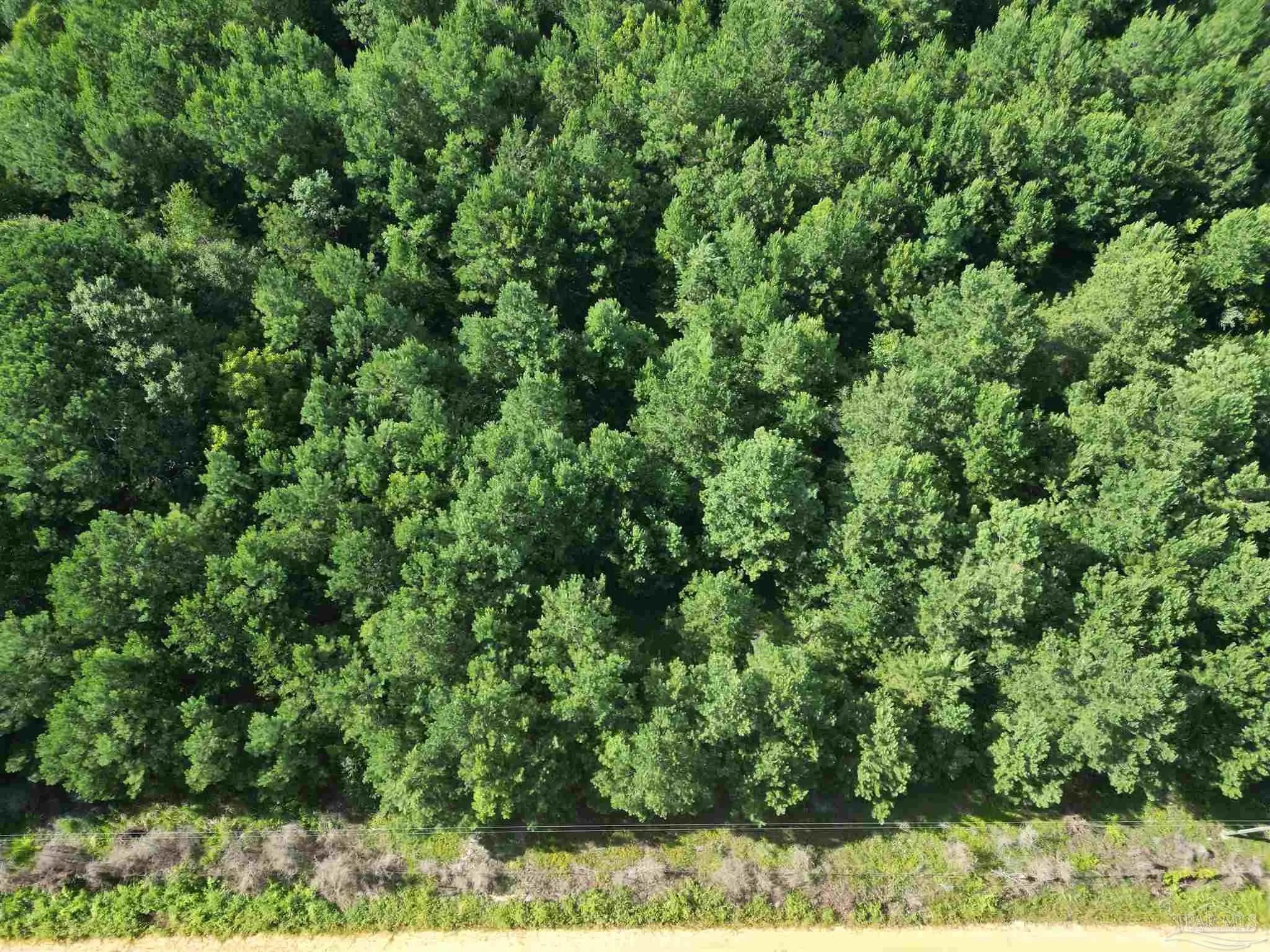 Photo of Listing #667574