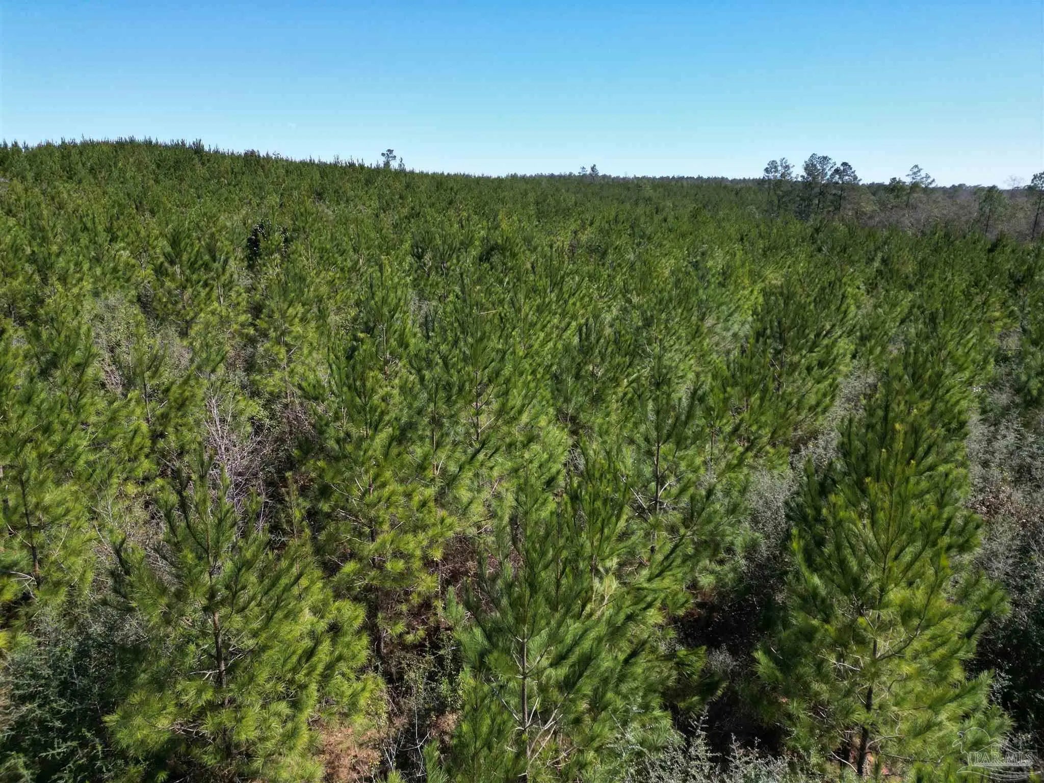 Photo of Listing #675989