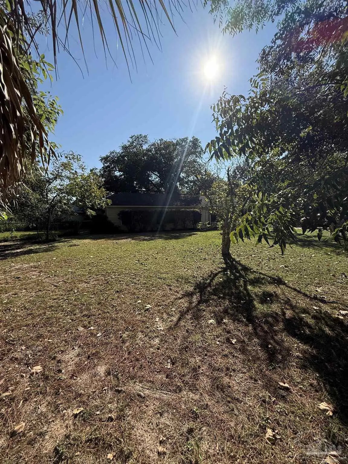 Photo of Listing #671015