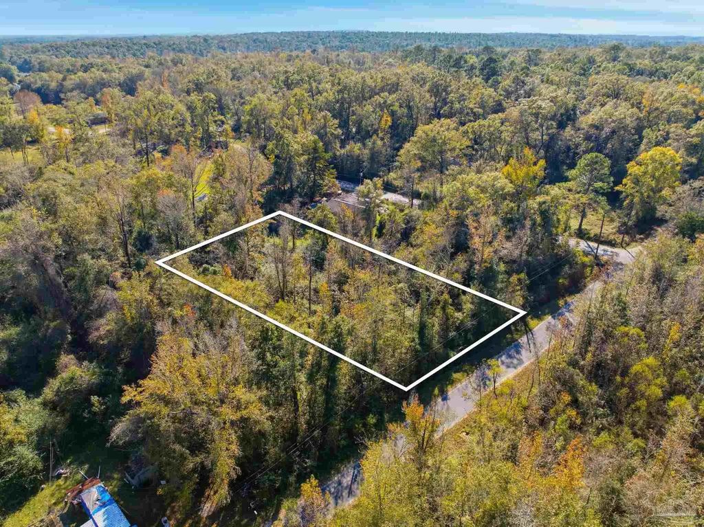 1100 Mckinnonville Rd, Molino