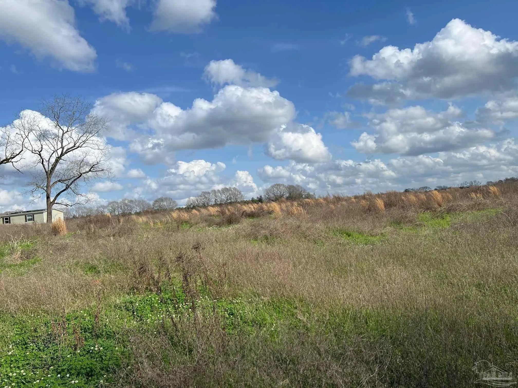 Photo of Listing #662535