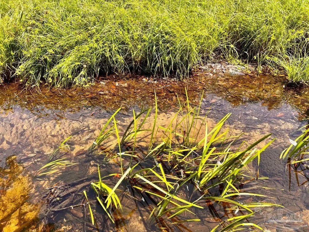 Photo of Listing #667234