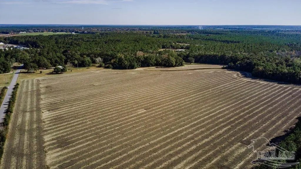 Photo of Listing #675340